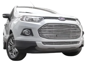 Sobre Grade de Inox para Ford EcoSport 2013